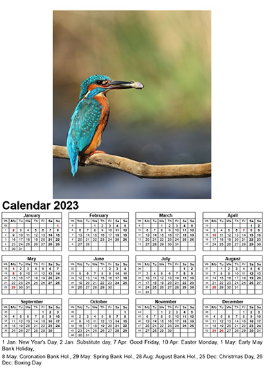 Year Calendar 2023 - Kingfisher (Male), Harwood Water, Kirkton Campus, Livingston Calendar